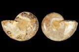 4.1" Cut & Polished Agatized Ammonite Fossil (Pair)- Jurassic - #131723-1